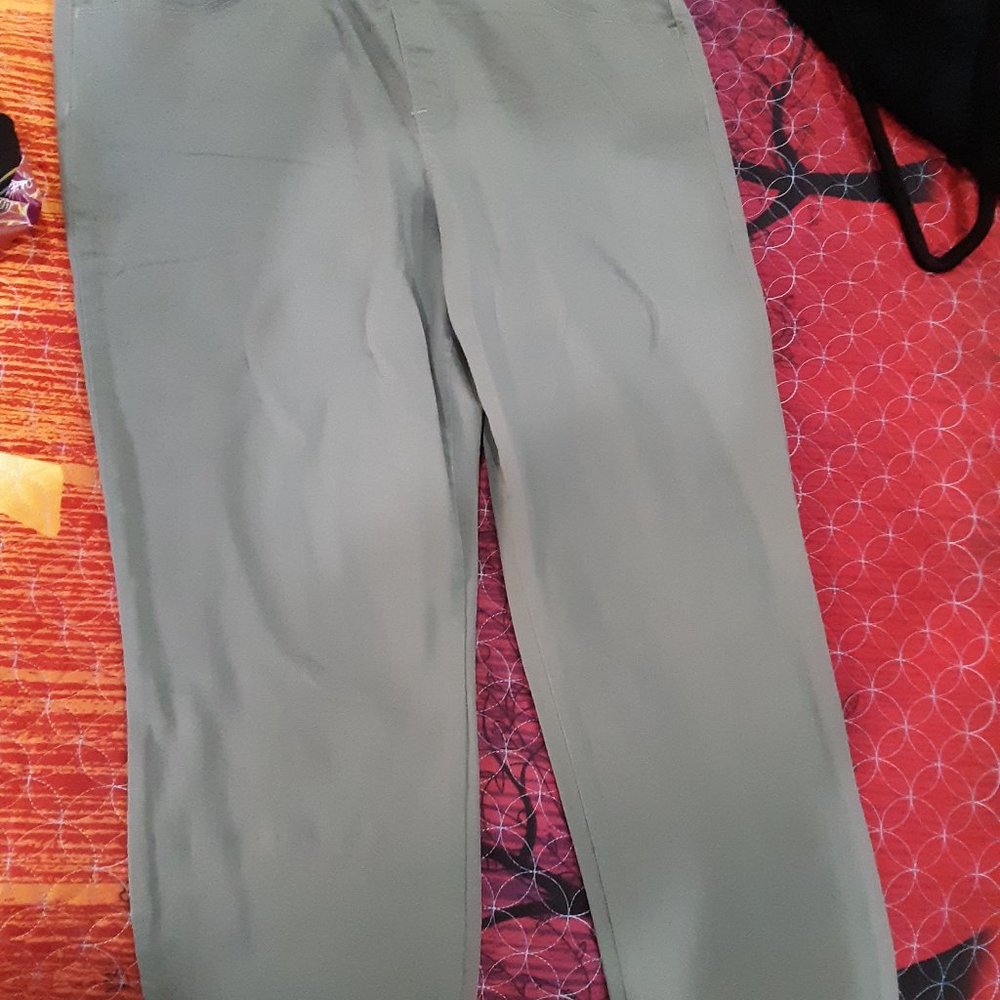 Gloria Vanderbilt slimming effects pants